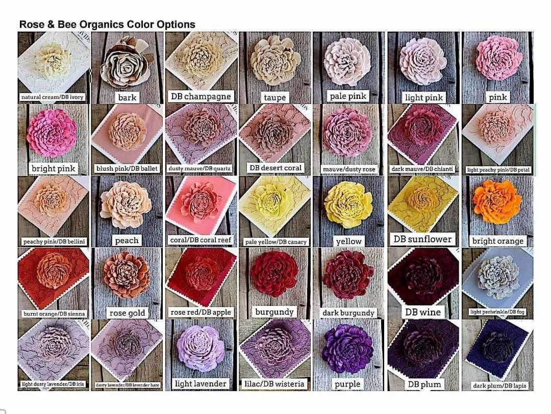 Premium Sola Wood Flowers for Crafting in Natural Cream & Accent Color, DIY Wooden Flowers for Wedding Cake, Bouquets, Corsage, Boutonnieres
