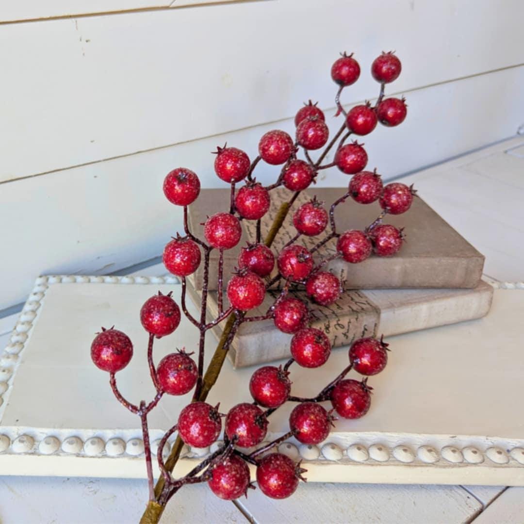 Red Glitter Berry Pods for Holiday Floral Arranging & Tree, Cranberries for Christmas Crafting, Sparkle Cranberries DIY Floral Arrangement
