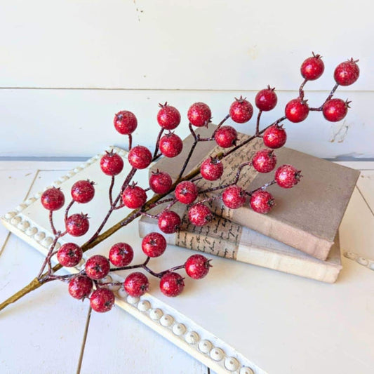 Red Glitter Berry Pods for Holiday Floral Arranging & Tree, Cranberries for Christmas Crafting, Sparkle Cranberries DIY Floral Arrangement