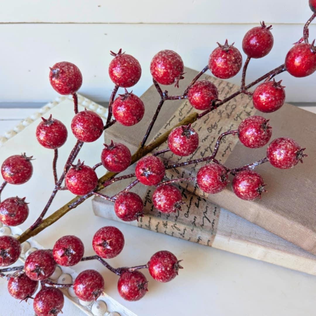 Red Glitter Berry Pods for Holiday Floral Arranging & Tree, Cranberries for Christmas Crafting, Sparkle Cranberries DIY Floral Arrangement