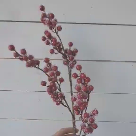Red Sugared Cranberries for Holiday Floral Arranging & Tree, Cranberries for Christmas Crafting, Frosted Cranberries DIY Floral Arrangement